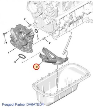 НОВЫЙ МАСЛЯНЫЙ ДРАКОН 1.4 1.6 HDI CITROEN PEUGEOT ORG