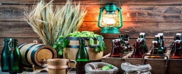 SpiritFerm TURBO 24ч дрожжи для сахарных заводов