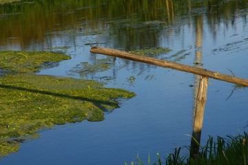 Набор полуфильтров 58 мм 58 для CANON NIKON SONY PENTAX OLYMPUS FUJI