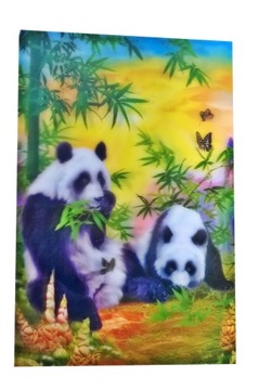 OBRAZ 3D OBRAZKI PANDY PANDA MOTYLE ŚLICZNE 20 30
