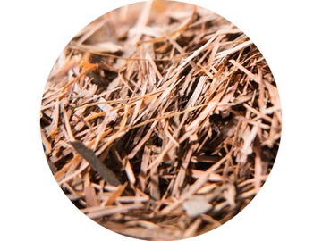 Herbata, kora, LAPACHO Premium 100g