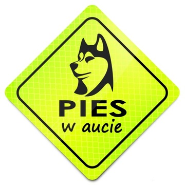 CHROŃ SWOJEGO PUPILA NAKLEJKA ODBLASK PIES W AUCIE