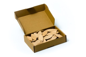 Tolux Lamels - Tolux Beech Lamellas № 10 Иностранная ручка 100 ПК.