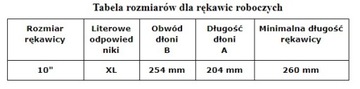 RNitNL BEG ЗАЩИТНЫЕ ПЕРЧАТКИ С ПОКРЫТИЕМ, РАЗМЕР 10