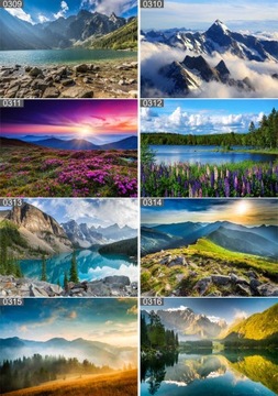 Plakat poster PSY KOTY ZWIERZĘTA 40x30 max wybór