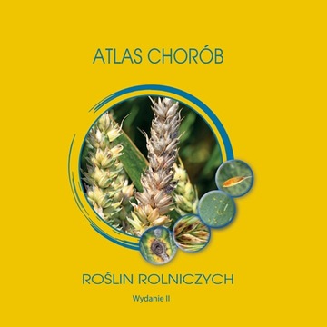 Atlas chorób roślin rolniczych choroby kukurydzy