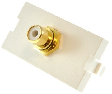 GNIAZDO RCA PRIUM PRM1R MODUŁ 50x25