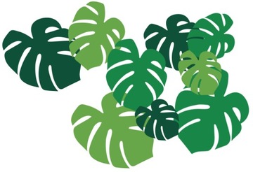 NAKLEJKI NA ŚCIANĘ ŚCIENNE LIŚCIE MONSTERA