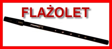 FLASHOLET – самый простой в освоении