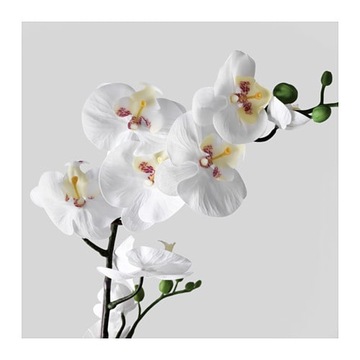 IKEA FEJKA STORCZYK ORCHIDEA Kolory 65 cm