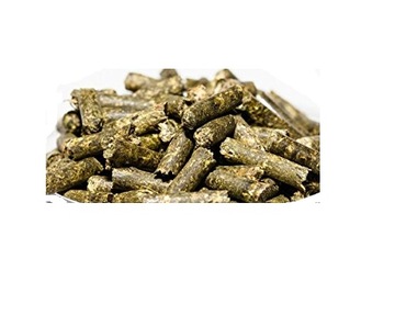 Echinacea pokarm na odporność 10g e-
