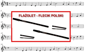FLASHOLET – самый простой в освоении
