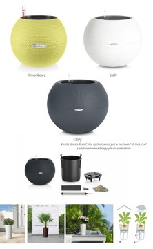 DONICA LECHUZA Puro Color 20 - 3 kolory