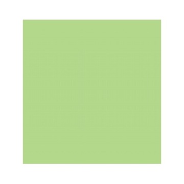Serwetki pistacjowe papierowe 20 sztuk SLCO001900
