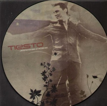 Tiesto / BT - Break My Fall / Picture / Winyl