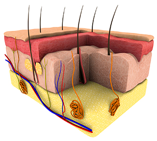 Спектральный кондиционер для спинномозговой жидкости ДЛЯ ЖЕНЩИН; сильные, густые волосы