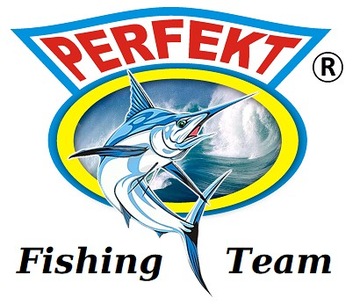 8 X DORSZ PILKER PERFEKT BORA SPORT 140gr s.B.