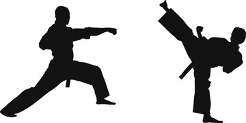 Naklejki na ścianę ścienna dla dzieci chłopca sztuki walki karate 100 cm