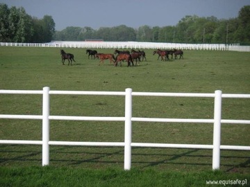 Equisafe - ogrodzenie elektryczne dla koni PASTUCH