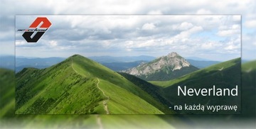 ТЕПЛАЯ ЗИМНЯЯ ШАПКА Neverland Jura - Серый -50%