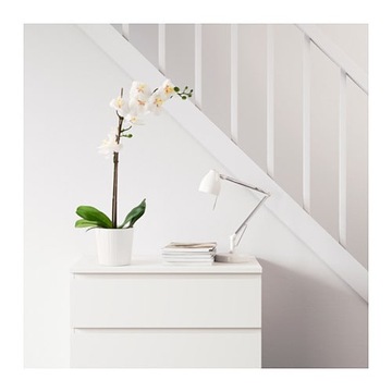 IKEA FEJKA STORCZYK ORCHIDEA Kolory 65 cm