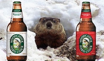 WOODCHUCK CRAFT CIDER szklanka 2/3 pint USA