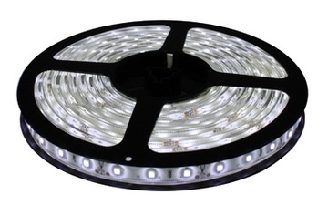 Taśma LED biała zimna 12V 3528 5m/600 IP65 - 5cm