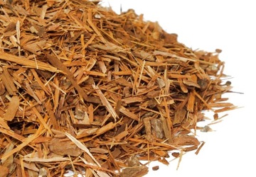 Catuaba Katuava 50g Afrodyzjak od Skworcu