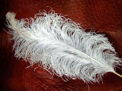 STRUSIE PIÓRA, PIÓRO BIAŁE STRUŚ 40-45 cm