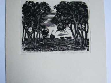 STARY LINORYT 1961