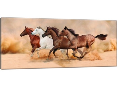 Stado Koni 100x40 Koń Konie Obraz Obrazy W galopie
