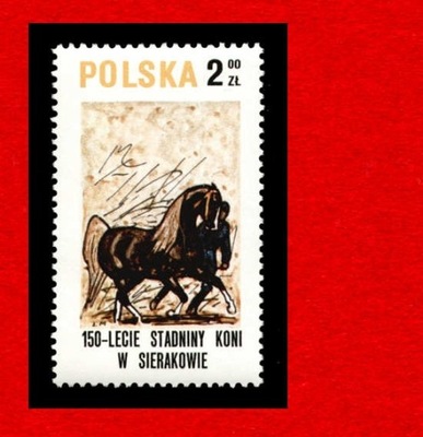 2517 zn cz** 1980 Sierakow konie