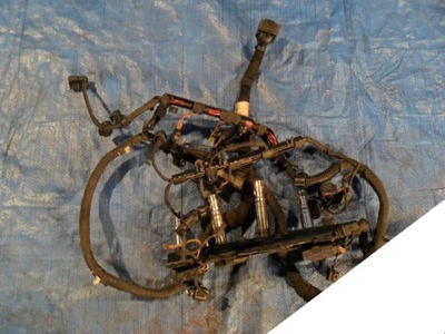 VW AUDI SKODA 1.4 TSI WIRE ASSEMBLY ENGINE 03C972619CK - milautoparts-fr.ukrlive.com