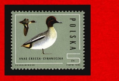 2850 zn cz** 1985 Dzikie kaczki