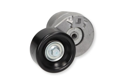 TRATEO YC1E-6A228-AH TENDEUR DE COURROIE TRATEO - milautoparts-fr.ukrlive.com