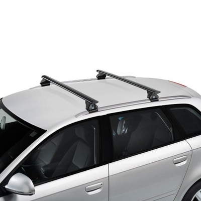 BOOT ROOF BEAM CRUZ AIRO AUDI Q5 II 2 17- - milautoparts-fr.ukrlive.com