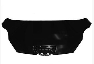 COVERING ENGINE HOOD PEUGEOT 1007 - milautoparts-fr.ukrlive.com