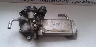 7698/2 RADIATEUR RECYRKULACJI DE GAZ D'ÉCHAPPEMENT AUDI 2.0TDI 03L13151 - milautoparts-fr.ukrlive.com