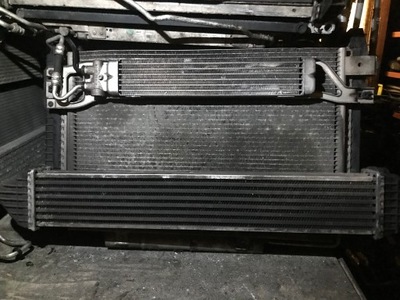 Mercedes a klasa w169 cdi радіатор вентилятор aut фото №1