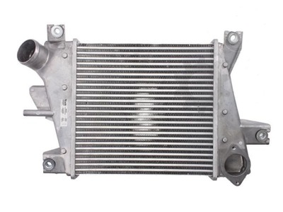 NISSAN X-TRAIL 05-07 2.2DCI INTERCOOLER 14461ES60A - milautoparts-fr.ukrlive.com