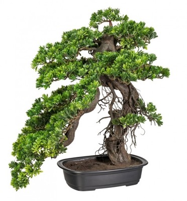 Sztuczne drzewko BONSAI PODOCARPUS 40x40cm