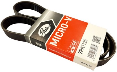 RENAULT MEGANE SCENIC II 1.9 DCI BELT WEDGE - milautoparts-fr.ukrlive.com