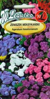 ŻENISZEK MEKSYKAŃSKI MIESZANKA KOLORÓW 'L