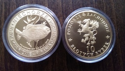 Pirania czerwona-10 złotych rybek - Ryby Akwariowe