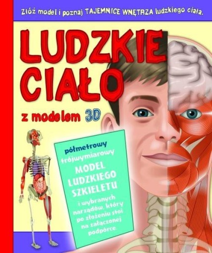 Ludzkie ciało z modelem 3D Praca zbiorowa