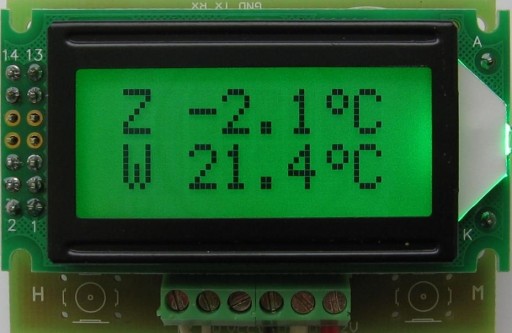 PANELOWY TERMOMETR DWUNAKAŁOWY -55 do 125'C (ZT)