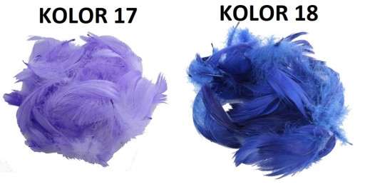PIÓRA PIÓRKA MIX 25 SZT PIÓRO DEKORACYJNE 23xKOLOR