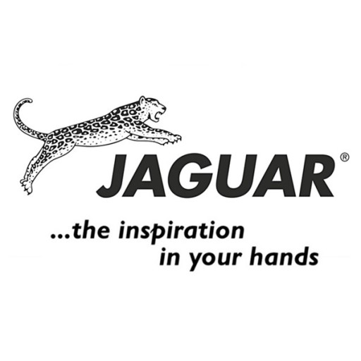 Парикмахерские ножницы Jaguar PRE STYLE ERGO 5 дюймов