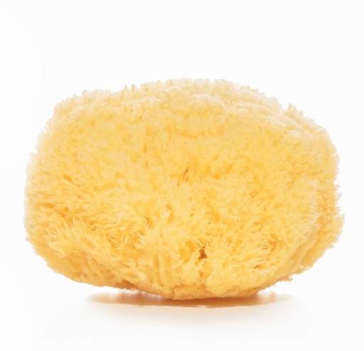 Губка SEA Sponge Natural Grass Тропическая губка среднего размера