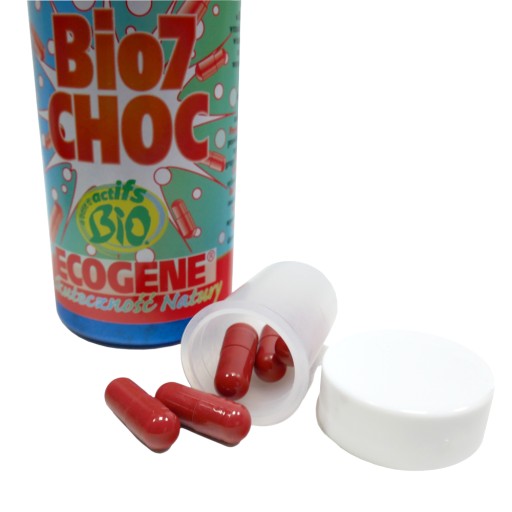 STARTER BIO 7 Choc + BACTERIA Bio7 Entretien 1 кг БАКТЕРИИ ДЛЯ ОЧИСТНЫХ УСТАНОВОК